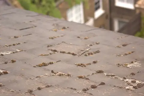 Exposed roof structure during remedial work at Lonsdale Square