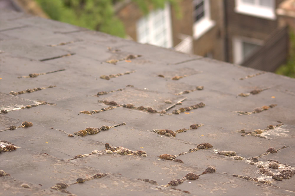 Exposed roof structure during remedial work at Lonsdale Square