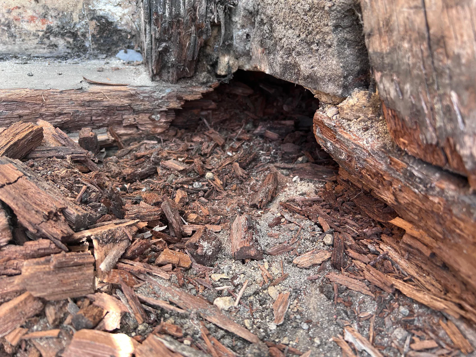 Close view of decayed roof timber uncovered during the works