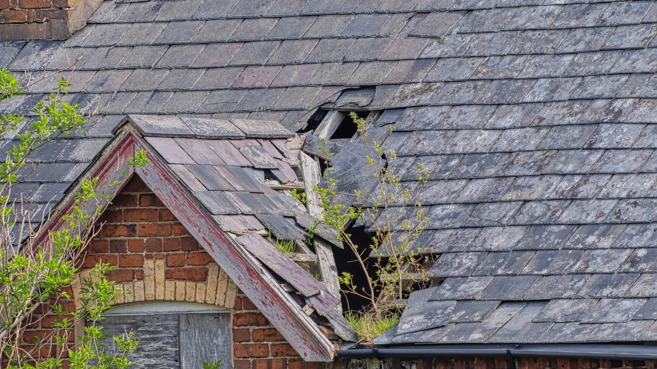 7 Signs of Storm Damage to Your Roof
